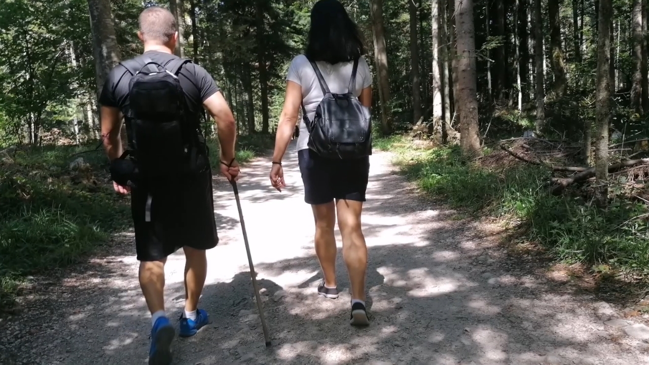 Posetioci šetaju šumskom stazom prema Banjskoj steni na Tari